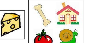 actividades para mejorar conciencia fonologica