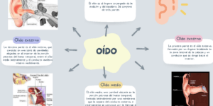 comparativa sistemas drenaje auditivo