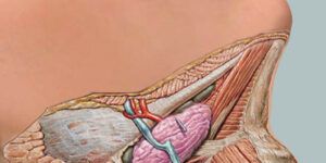 cuidados postoperatorios para cirugia salival