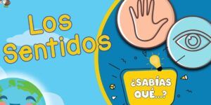 curiosidades del sentido del tacto