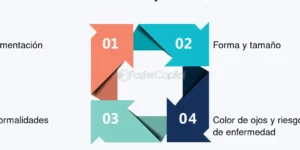 distribucion geografica de ortoptistas