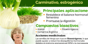 efectos del hinojo en la presion arterial
