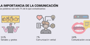 importancia de la comunicacion verbal