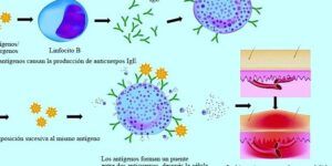 ojos aliviados con zaditen colirio