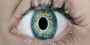 ojos y piernas en el mundo