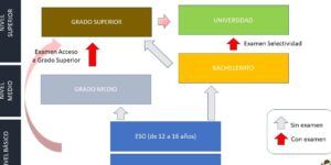 opciones de estudio en espana