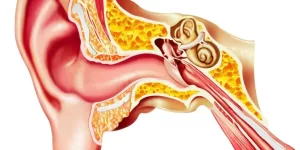 secuelas sintomas y tratamiento del dano al nervio vestibular