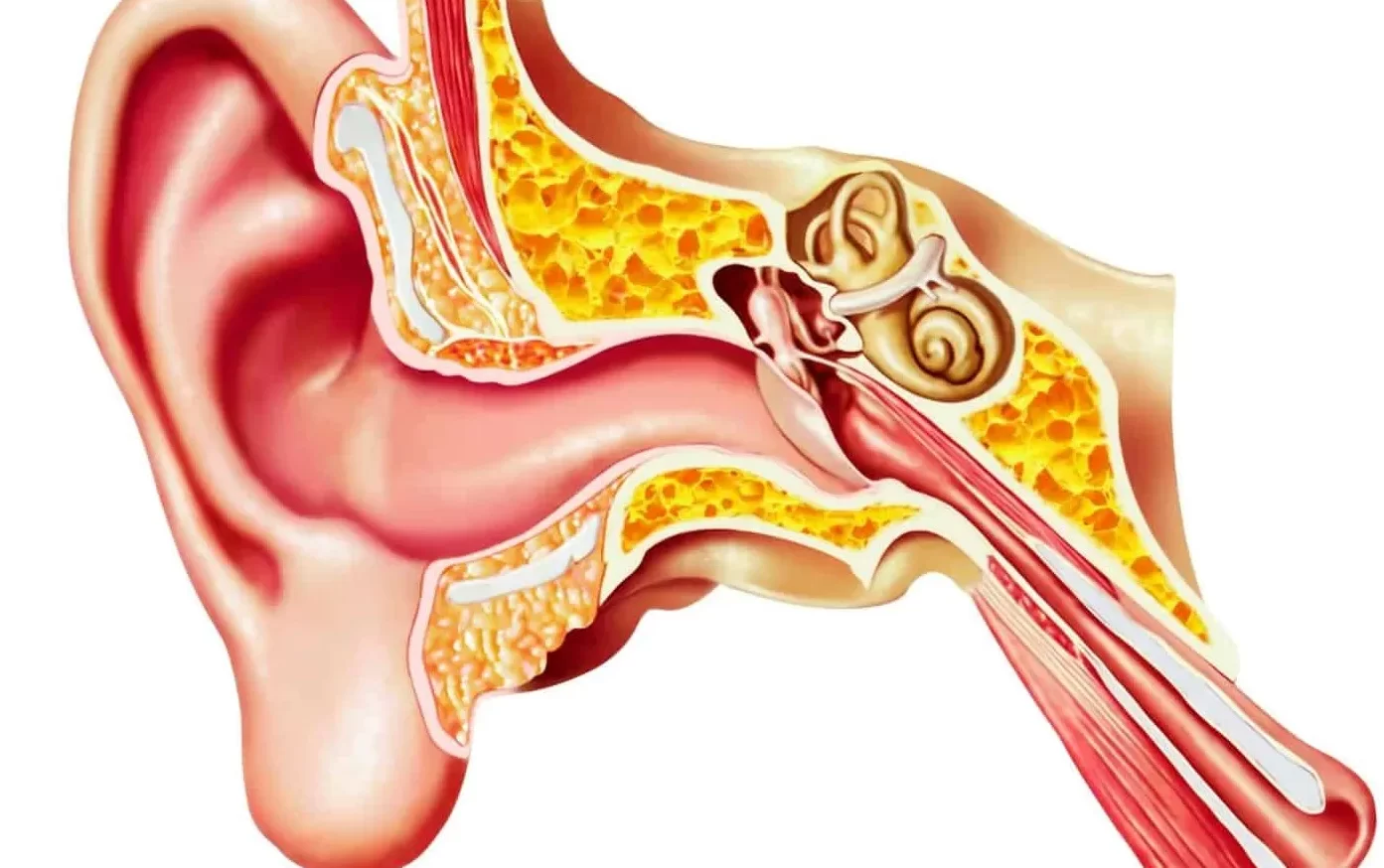secuelas sintomas y tratamiento del dano al nervio vestibular