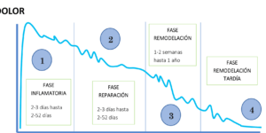 tiempo de cicatrizacion y recuperacion