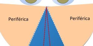 vision binocular y la evolucion