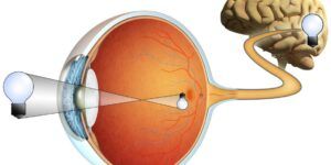 vision optica y su funcionamiento